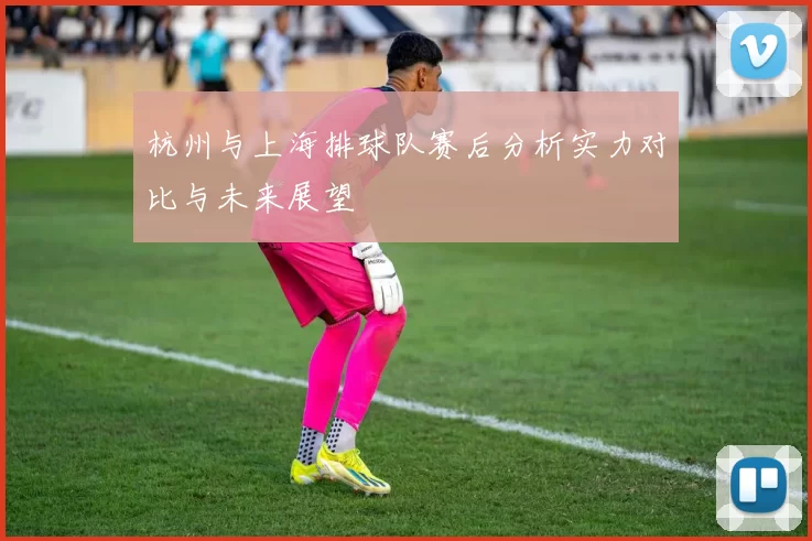 杭州与上海排球队赛后分析实力对比与未来展望