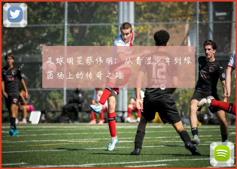 足球明星蔡伟明：从青涩少年到绿茵场上的传奇之路
