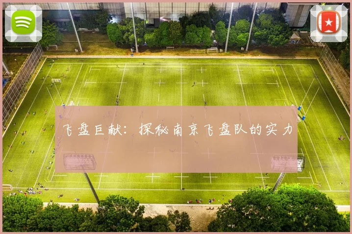 飞盘巨献：探秘南京飞盘队的实力