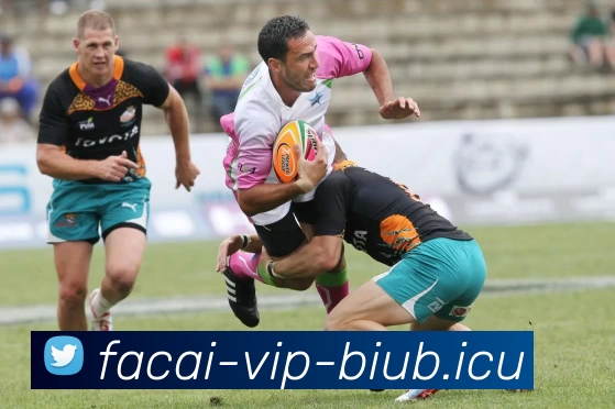 数据防护可视化